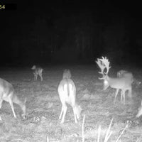 SummitGuard - Trail Camera 15.600 mAh.