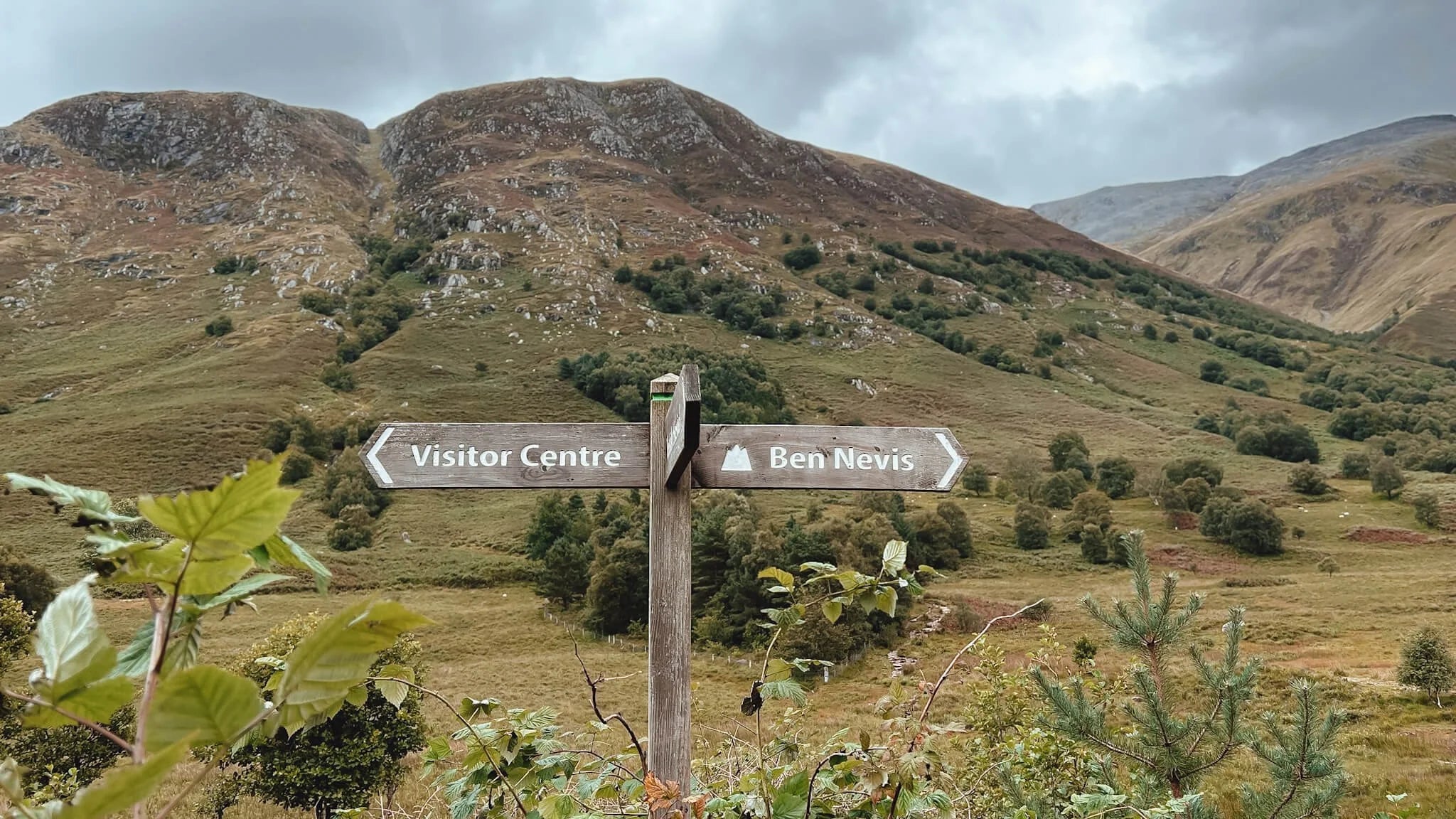 Let's Perfect Your
Outdoor Experience